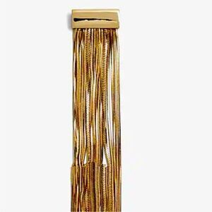 NWT Express Fringe Bracelet
